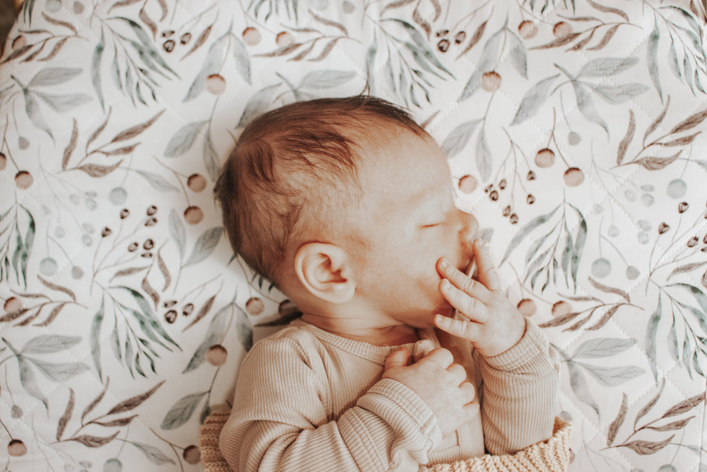 Bambella Waterproof Bassinet Sheet | Botanical